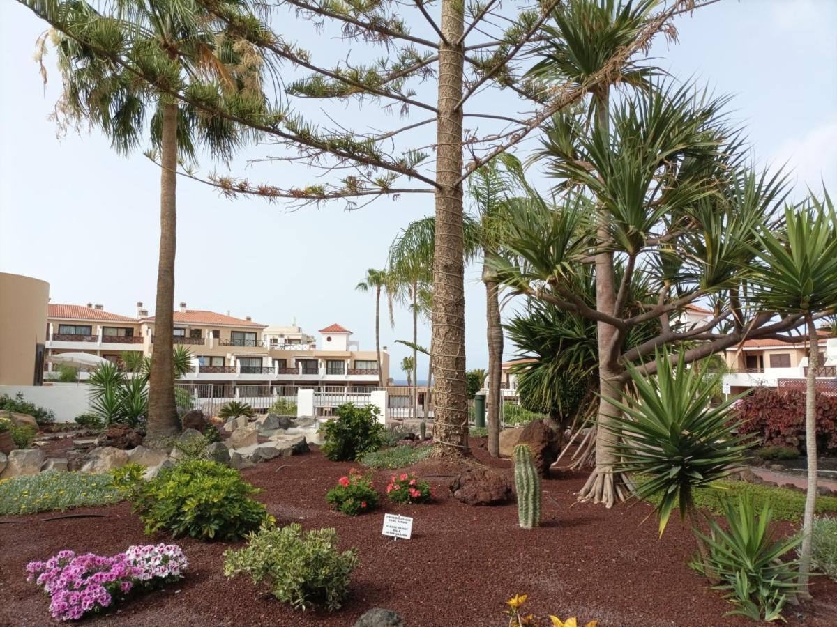 Estudio En Tenerife Con Piscina / Study Flat With Pool San Miguel de Abona Exterior foto